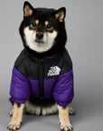 Luxury Winter Dog Jacket