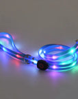 Rechargeable LED Pet Collar with Nylon Leash