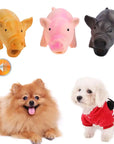 Chew Sound Bite Resistant Pet Toys