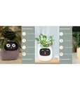 Smart Planter with AI: 49 Expressions, 7 Sensors for Easy Plant Care