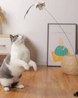 Bird Toys For Cat