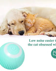 Electric Self-Moving Ball Dog Toy