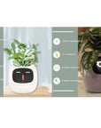 Smart Planter with AI: 49 Expressions, 7 Sensors for Easy Plant Care