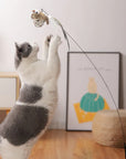 Bird Toys For Cat