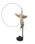 Bird Toys For Cat