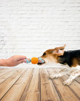 Rope Toy for Pets