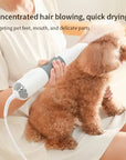 3-in-1 Pet Dryer & Comb Brush