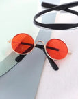 Pet Accessories Cat Glasses