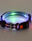 Rechargeable LED Pet Collar with Nylon Leash