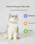 Smart Pet Collar