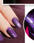 4D Magnetic Nail Polish Set