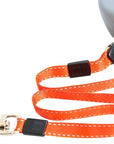 2 In 1 Dog Leash