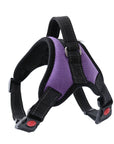 Pet Walking Harness Adjustable Comfort