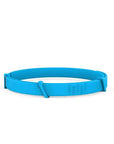 Pro Guard Flea and Tick Pet Collar