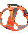 Reflective Stress- Relieving Harness