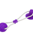 Suction Ball Interactive Dog Toy