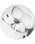 Earpods Case Dust Shield