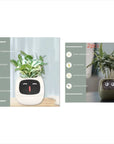 Smart Planter with AI: 49 Expressions, 7 Sensors for Easy Plant Care