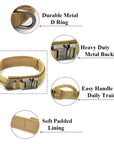 Dog Collar