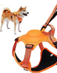 All-in-One Dog Harness & Retractable Leash