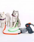 Dog Collars 2 in 1 Dog Leash