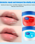 Lip Balm Natural Plant Anti-Cracking Lip Care