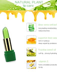 Aloe Vera Moisturizing Lip Balm