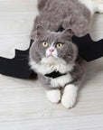 Halloween Pet Costume