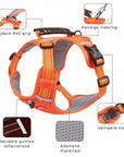 Reflective Stress- Relieving Harness