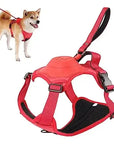 All-in-One Dog Harness & Retractable Leash