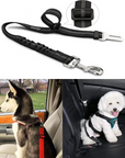 Dog Seat Belt