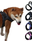 Comfortable And Secure Harness For Pets