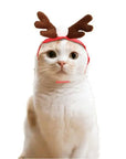 Pet Christmas Clothes