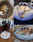 Pet Dog Sofa Beds