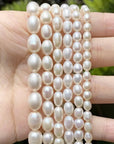 Natural Freshwater Pearl Beads