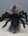 Halloween Spider Costume for Pets