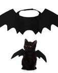 Halloween Small Pet Cat Bat Wings