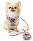 Adjustable Soft Harness Set For Pets