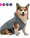 Dog Coat Winter Jacket