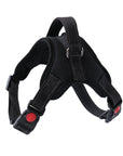 Pet Walking Harness Adjustable Comfort