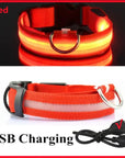 Glowing Dog Collar