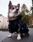 Winter Dog Face Jacket