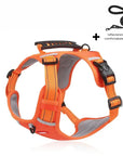 Reflective Stress- Relieving Harness