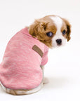 Warm Winter Pet Clothes