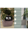 Smart Planter with AI: 49 Expressions, 7 Sensors for Easy Plant Care