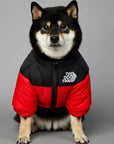 Luxury Winter Dog Jacket