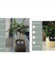 Smart Planter with AI: 49 Expressions, 7 Sensors for Easy Plant Care