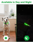 Glowing Dog Collar