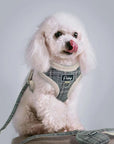 Adjustable Soft Harness Set For Pets