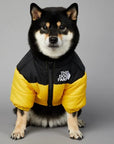 Luxury Winter Dog Jacket